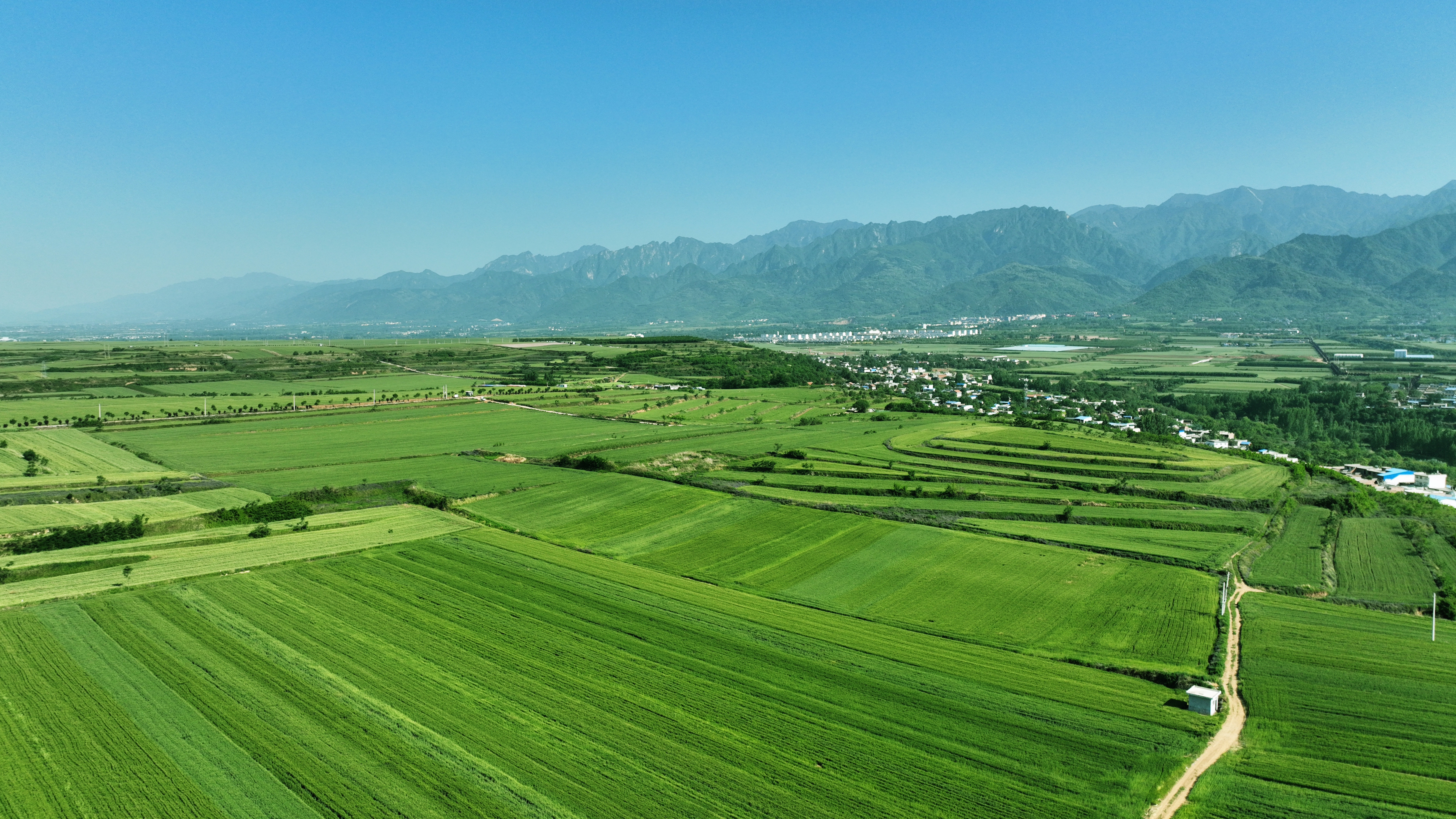 航拍西安风景宣传片 | 不是大理，在长安中江兆村听风吹麦浪的声音(图1)