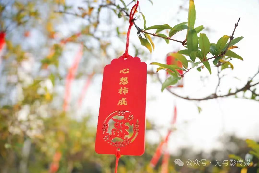 微信图片_20240130133414.jpg
